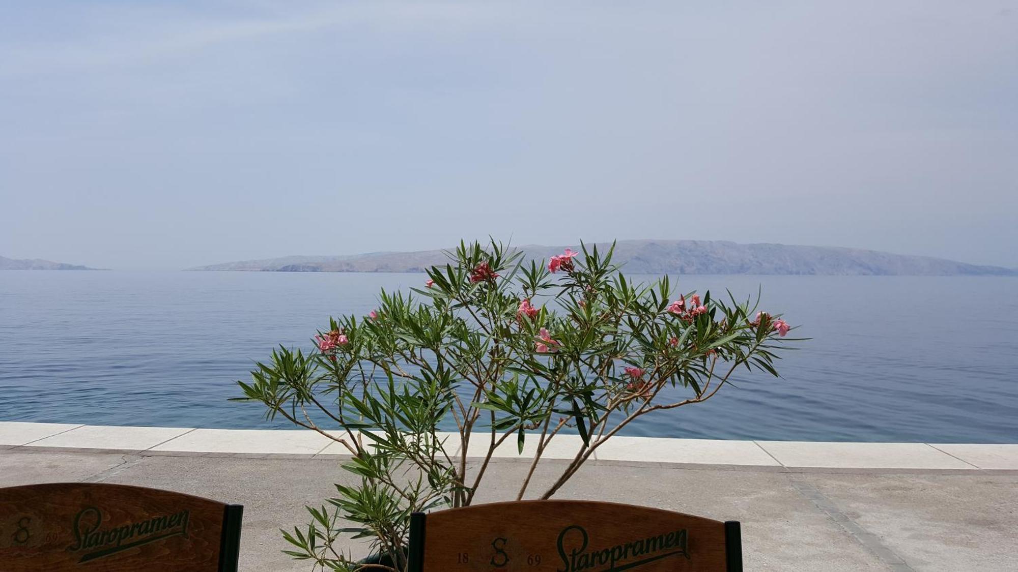 Apartman Bura Senj  Extérieur photo